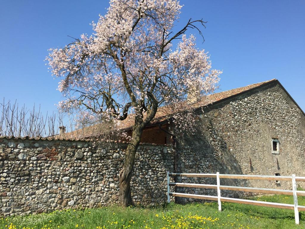 Antico Cascinale Lombardo Acomodação com café da manhã Lonato Exterior foto